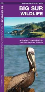 Big Sur Wildlife - Pocket Guide