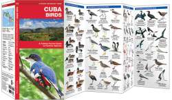 Cuba Birds