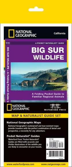 Big Sur Adventure Set