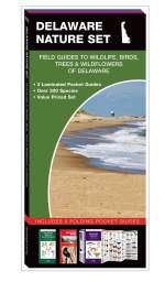 Delaware Nature Set - 3 Pocket Guides
