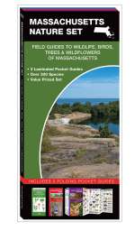 Massachusetts Nature Set - 3 Pocket Guides