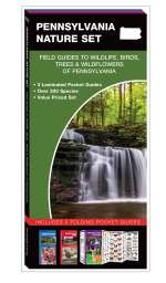 Pennsylvania Nature Set - 3 Pocket Guides