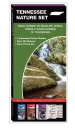Tennessee Nature Set - 3 Pocket Guides