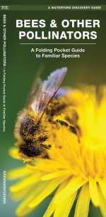 Bees & Other Pollinators - Pocket Guide