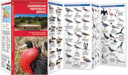 Dominican Republic Birds