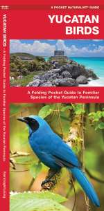 Yucatan Birds - Pocket Guide