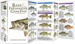 Bass & Freshwater Game Fish of North America - A Pocket Naturalist Guide