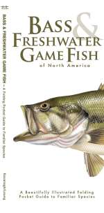Bass & Freshwater Game Fish of North America - A Pocket Naturalist Guide (9781620052150)