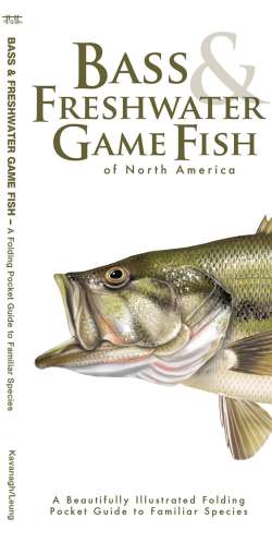 Bass & Freshwater Game Fish of North America - A Pocket Naturalist Guide