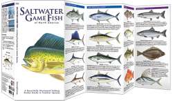 Saltwater Game Fish of North America