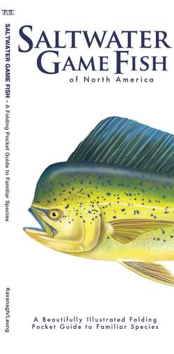 Saltwater Game Fish of North America - A Pocket Naturalist Guide
