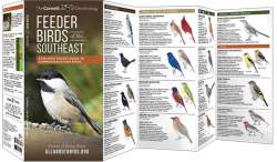 Feeder Birds of the Southeast