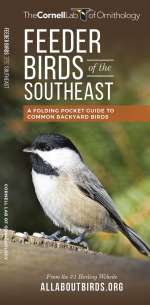 Feeder Birds of the Southeast - Pocket Guide