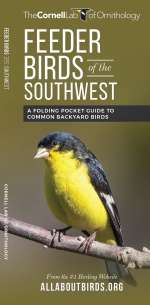 Feeder Birds of the Southwest - Pocket Guide
