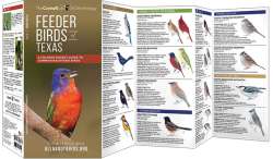 Feeder Birds of Texas