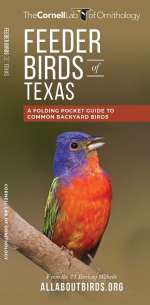 Feeder Birds of Tex...