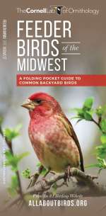 Feeder Birds of the Midwest - Pocket Guide