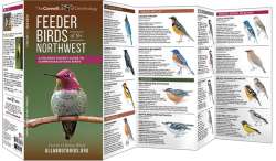 Feeder Birds of the Northwest