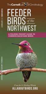 Feeder Birds of the Northwest - Pocket Guide