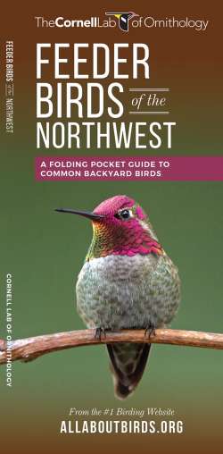 Feeder Birds of the Northwest