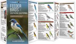 Feeder Birds of Southern California