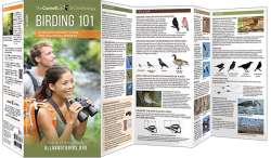 Birding 101