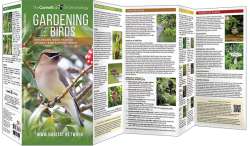 Gardening for Birds