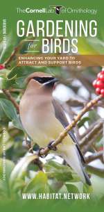 Gardening for Birds - Pocket Guide