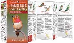 Hummingbirds of North America