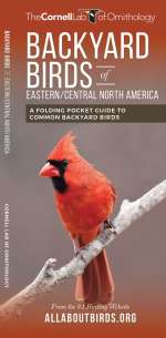 Backyard Birds of Eastern/Central North America - Pocket Guide