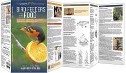 Bird Feeders and Food