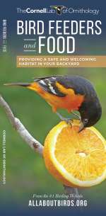 Bird Feeders and Food - Pocket Guide