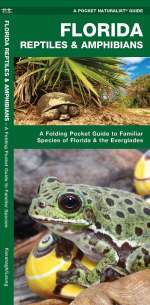 Florida Reptiles & Amphibians - Pocket Guide