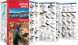 Japan Birds