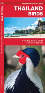 Thailand Birds - Pocket Guide