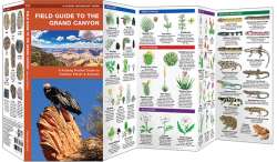 Field Guide to the Grand Canyon