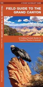 Field Guide to the Grand Canyon - Pocket Guide