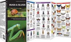 Bugs & Slugs