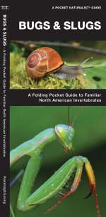 Bugs & Slugs - Pocket Guide
