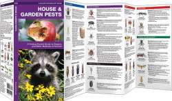 House & Garden Pests, 2nd Edition