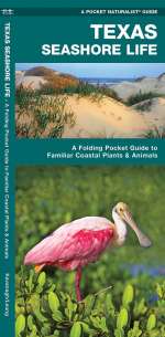 Texas Seashore Life, 2nd Edition - Pocket Guide