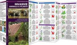 Invasive Animals & Plants