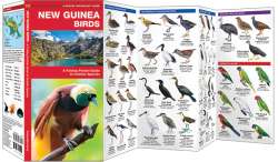 New Guinea Birds