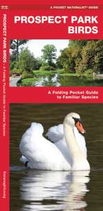 Prospect Park Birds - Pocket Guide