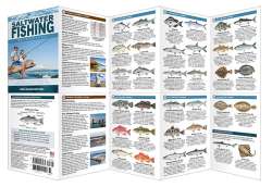 Saltwater Fishing Essentials