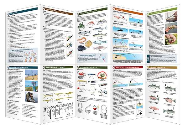 Saltwater Fishing Essentials - Folding Waterproof Pocket Guide