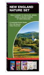 New England Nature Set - 3 Pocket Guides