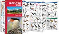 Argentina Birds