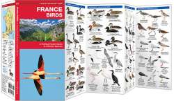 France Birds