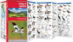 Italy Birds